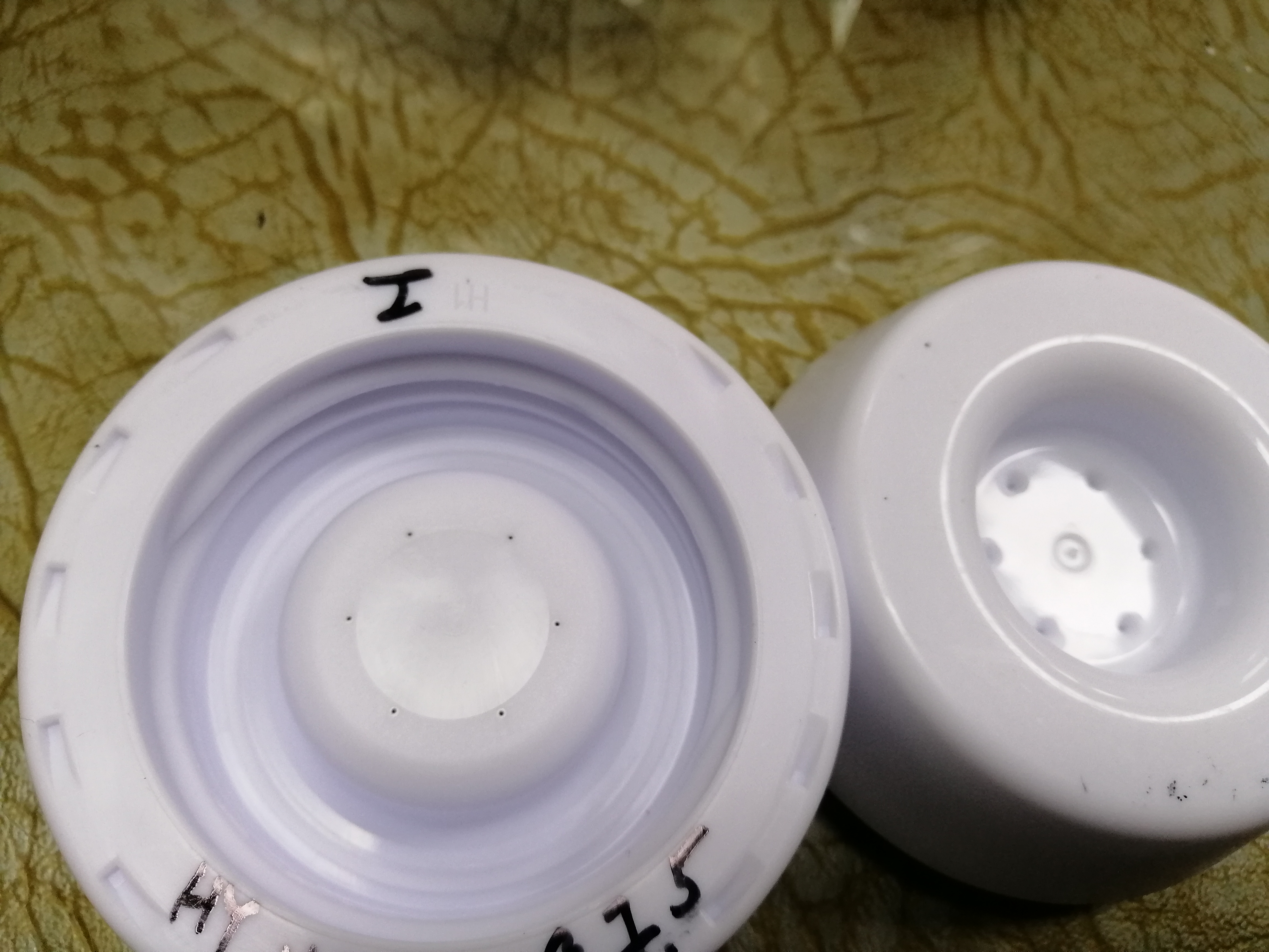 The teeth mold